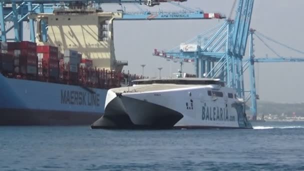 Szybki Prom Katamaran Jaume Iii Wprowadzenie Porcie Algeciras Cieśninie Gibraltarskiej — Wideo stockowe