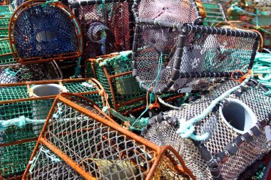 Esnaf Lirası net pot bir balıkçı teknesi içinde depolanan.