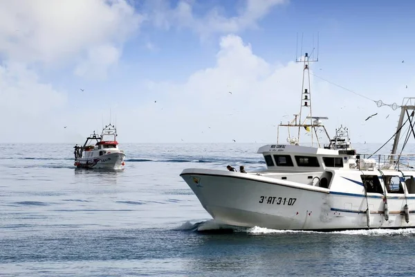 Dvojice Trawleru Rybářských Člunů Blíží Přístavu Prodej Jejich Zachycení Pobřeží — Stock fotografie