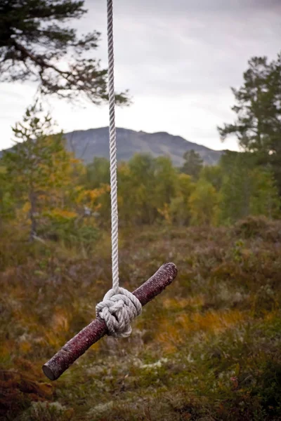 Zelf Gebouwde Natuurschommel Noorwegen Natuur — Stockfoto