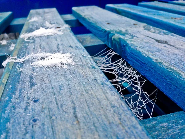 Paleta Azul Com Teias Aranha Congeladas — Fotografia de Stock