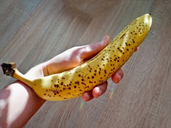 Banana madura na mão . — Fotografia de Stock