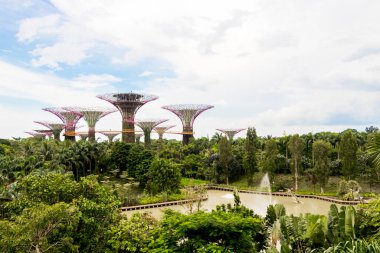Körfez kenarındaki bahçeler, Dragonfly Gölü ve Singapur 'daki Supertree Korusu..