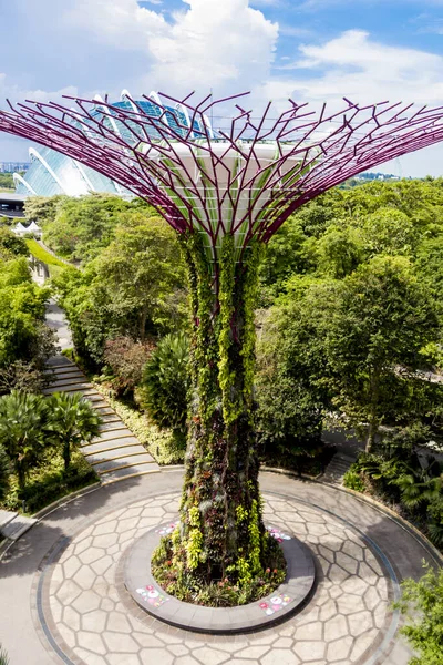 シンガポールの上から湾とスーパーツリーグローブによる未来の庭園 — ストック写真