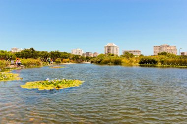 Yeşil Nokta Parkı, Göl manzarası, Cape Town, Güney Afrika 'da güzel doğa..