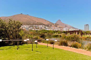 Yeşil Nokta Parkı, Güney Afrika Cape Town 'da gölü ya da nehri olan dağ manzarası.