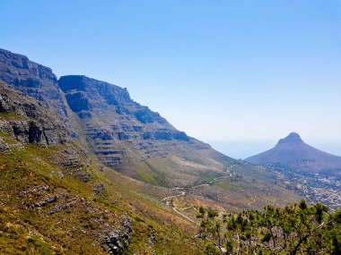Masa Dağı Ulusal Parkı ve Aslanlar Cape Town, Güney Afrika 'ya gidiyorlar..