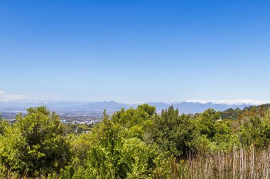 Güney Afrika 'daki Kirstenbosch Ulusal Botanik Bahçesinden Cape Town' un panoramik görüntüsü.
