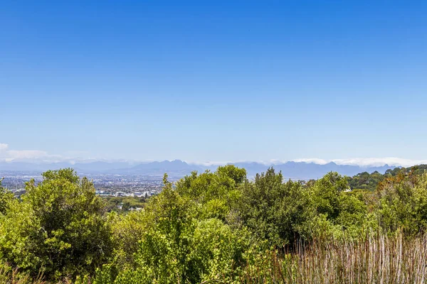 Vista Panorámica Ciudad Del Cabo Desde Jardín Botánico Nacional Kirstenbosch — Foto de Stock