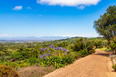 Cape Town 'un panoramik manzarası ve Kirstenbosch Ulusal Botanik Bahçesi' nde yürüyüş yolu, Güney Afrika.