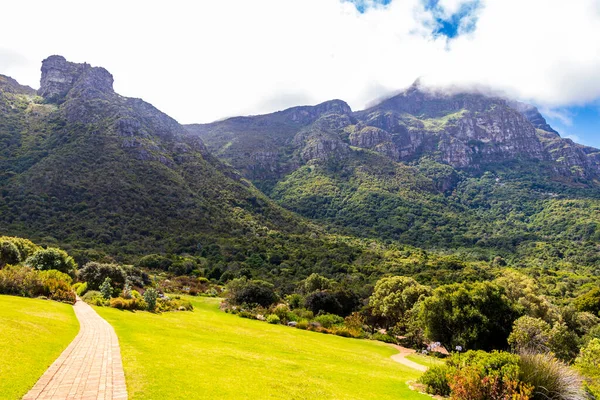 Kirstenbosch国家植物园 南非开普敦 — 图库照片