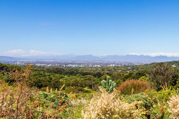 Vista Panorámica Ciudad Del Cabo Naturaleza Jardín Botánico Nacional Kirstenbosch — Foto de Stock