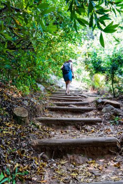 Kadın ya da kız, Cape Town 'daki Kirstenbosch Ulusal Botanik Bahçesi' nde yürüyüş yolunda..