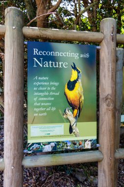 Kirstenbosch, Cape Town, Güney Afrika 'da doğa turkuvaz bilgi işaretiyle tekrar bir araya geliyoruz..
