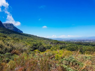 Cape Town 'un panoramik manzarası ve Kirstenbosch Ulusal Botanik Bahçesi, Güney Afrika.