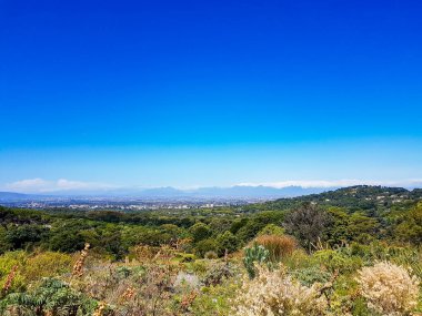 Güney Afrika 'daki Kirstenbosch Ulusal Botanik Bahçesinden Cape Town' un panoramik görüntüsü.
