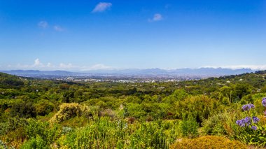 Cape Town 'un panoramik manzarası ve Kirstenbosch Ulusal Botanik Bahçesi, Güney Afrika.