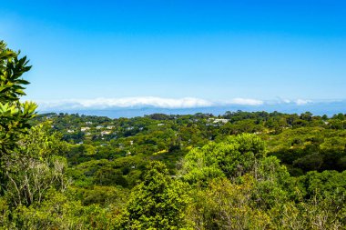 Cape Town 'un panoramik manzarası ve Kirstenbosch Ulusal Botanik Bahçesi, Güney Afrika.