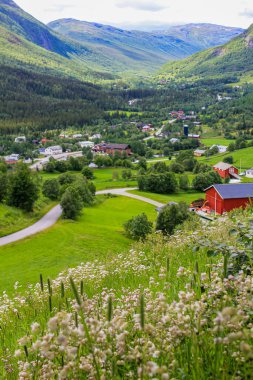 Panorama Norveç, Hemsedal Dağları, kırmızı çiftlik evleri ve yeşil çayırlar, Viken, Buskerud.