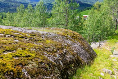 Güzel Norveç manzarası. Büyük kayalar, dağlar ve orman. Hemsedal 'de Norveç Doğa.