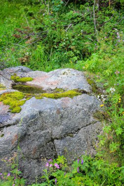 Güzel Norveç manzarası. Büyük kayalar, dağlar ve orman. Hemsedal 'de Norveç Doğa.