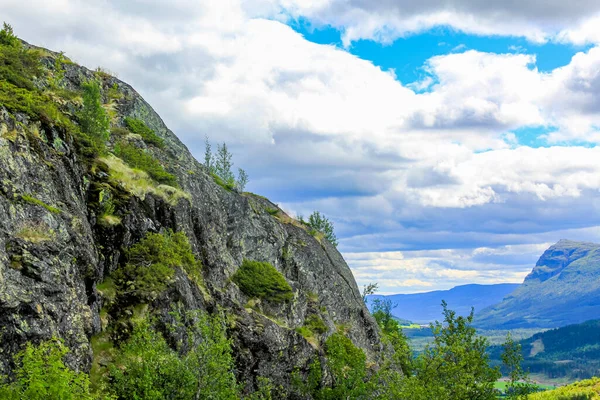 挪威美丽的风景 树木耸立着高山和岩石 挪威自然组织 — 图库照片