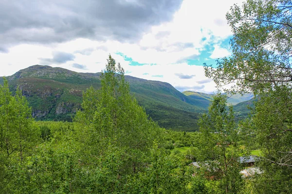 Ağaçlarla Dağlarla Kayalarla Kaplı Güzel Norveç Manzarası Norveç Doğa — Stok fotoğraf