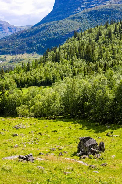 Panorama Norvège Hemsedal Mountains Sapins Rochers Prairies Verdoyantes Viken Buskerud — Photo