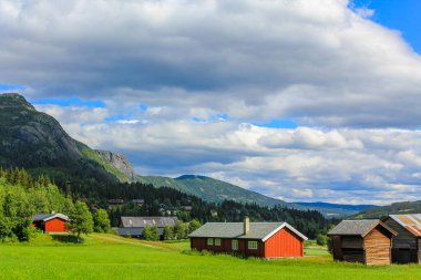 Panorama Norveç, Hemsedal Dağları, kırmızı çiftlik evleri ve yeşil çayırlar, Viken, Buskerud.