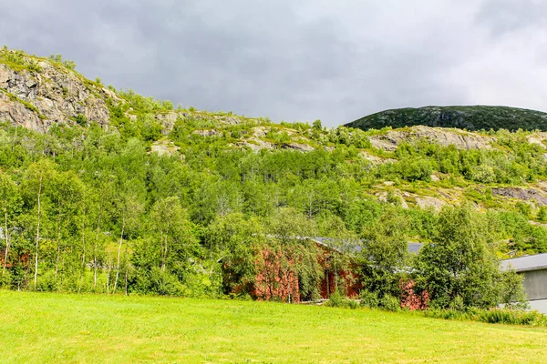 Bela Paisagem Norueguesa Com Árvores Abrem Montanhas Rochas Noruega Natureza — Fotografia de Stock