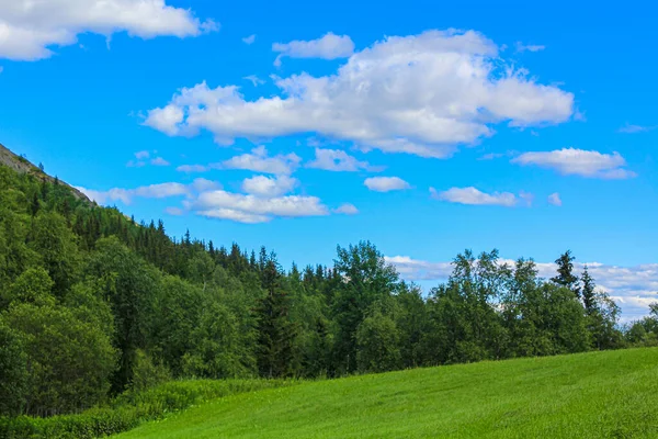 Ağaçlarla Dağlarla Kayalarla Kaplı Güzel Norveç Manzarası Norveç Doğa — Stok fotoğraf