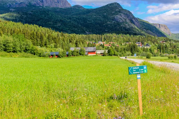 Schöne Straße Mit Wanderwegen Durch Die Landschaft Von Hemsedal Viken — Stockfoto