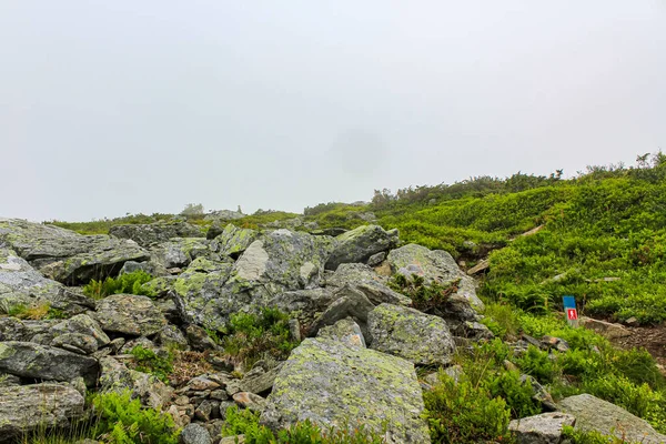 Vista Desde Veslehdn Veslehorn Paisaje Noruego Hemsedal Noruega —  Fotos de Stock