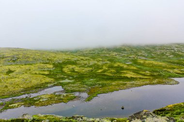 Hemsedal Norveç 'te Veslehdn Veslehorn Dağı' ndaki Hydnefossen şelalesi ve Hydna nehri.
