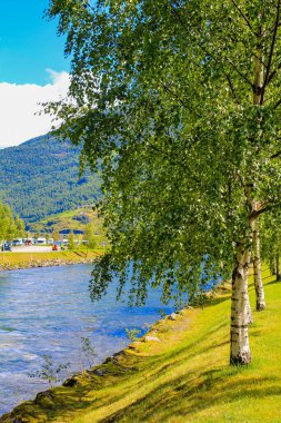 Skagastl feribotu Flms küçük limanında, Aurlandsfjord Sognefjord Norveç.
