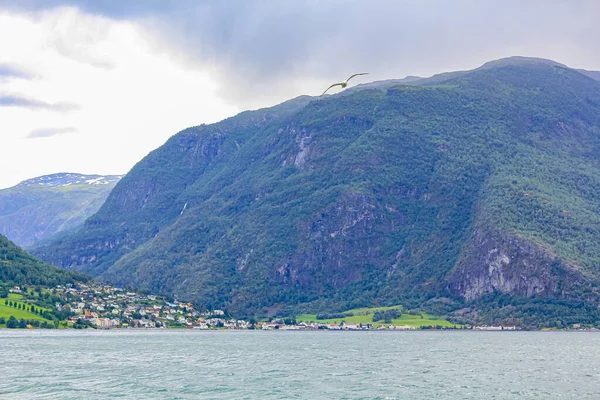 Noorse Prachtige Berg Fjord Landschap Aurlandsfjord Aurland Vestland Sognefjord Noorwegen — Stockfoto