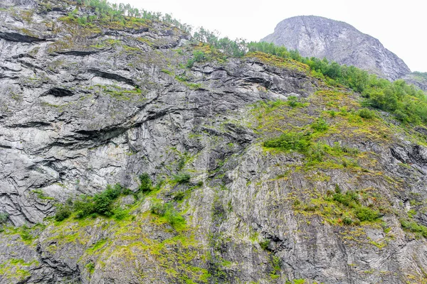 Norveç Aurlandsfjord Sognefjord Ağaçlarla Kaplı Büyük Kayalıklar — Stok fotoğraf