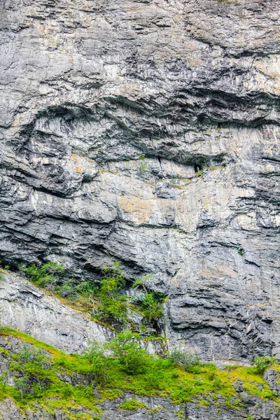 Große Felsklippen Mit Bäumen Aurlandsfjord Sognefjord Norwegen — Stockfoto