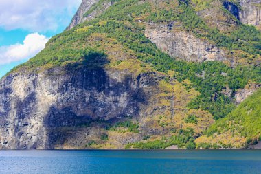 Norveç 'in güzel dağı ve Aurlandsfjord' daki fiyort manzarası Aurland Vestland Sognefjord Norveç 'te.