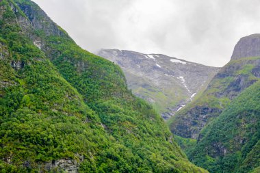 Norveç 'te kar ve fiyort manzaralı güzel dağ Aurland Vestland Sognefjord Norveç' te.