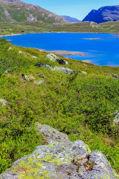 挪威维肯 赫赛达尔 夏天美丽的Vavatn湖和群山 — 图库照片