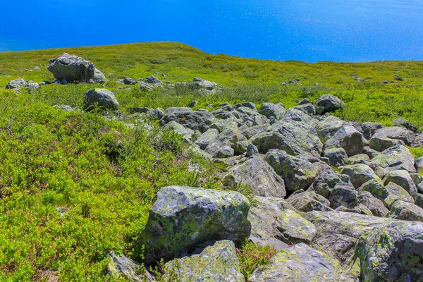 Красивое Озеро Ваватн Горы Летом Хемседале Викен Норвегия — стоковое фото