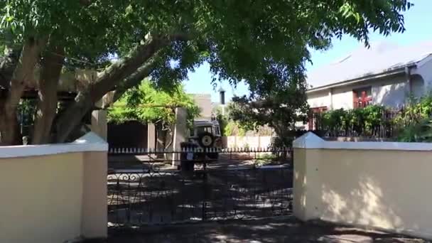 Гібіскус Рожевою Квіткою Кейптауна Пар — стокове відео