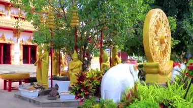 Khon Kaen bölgesi Isan Tayland 06. Kasım 2018 Phra Mahathat Kaen Nakhon pagoda stili Budist altın tapınağı ve Wat Nong Waeng fil heykeli Khon Kaen Isan Tayland 'da.