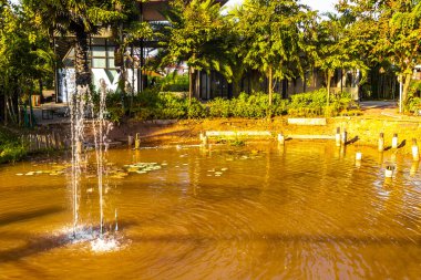 Khon Kaen bölgesi Isan Tayland 06. Kasım 2018 Ton Tann Green Market Tayland gece sokak yemek parkı Khon Kaen Isan Kuzeydoğu Tayland 'da güzel çeşmeleri ve gölet suyu ile.