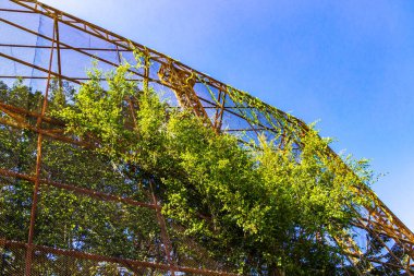 Khon Kaen Bölgesi 'ndeki Bueng Thung Sang Sağlık Bahçesi Parkı' nda tropikal orman ve içinde metal merdivenleri ve zemini olan doğa ile dolu büyük bir kafes..