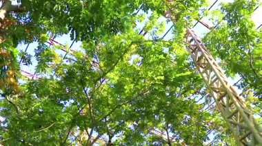 Khon Kaen Bölgesi 'ndeki Bueng Thung Sang Sağlık Bahçesi Parkı' nda tropikal orman ve içinde metal merdivenleri ve zemini olan doğa ile dolu büyük bir kafes..