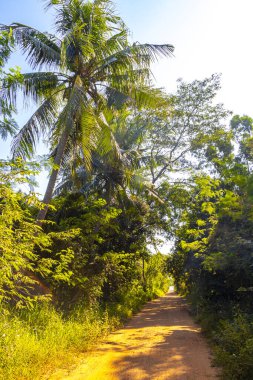 Güneydoğu Asya 'da Khon Kaen Bölgesi, Khon Kaen Bölgesi' nde tropikal orman ve orman yürüyüşü rotaları Güneydoğu Tayland 'ın Isan Eyaleti' nde gerçekleşir..