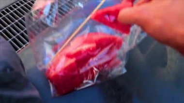 Güneydoğu Asya 'da, Khon Kaen Bölgesi' nde, İsan Kuzeydoğu Tayland 'da, yerde duran plastik torbadan karpuz yiyor..