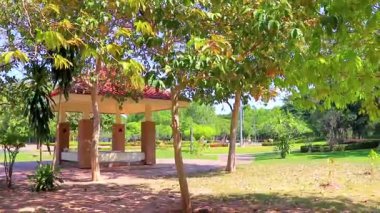 Khon Khan şehri, Güneydoğu Asya 'da Khon Kaen İlçesi' nde tropikal doğa orman köşkü ve mavi gökyüzü ile kamu parkı..